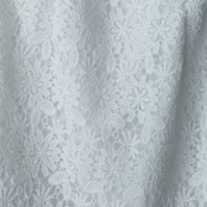 Sleeveless lace sheath